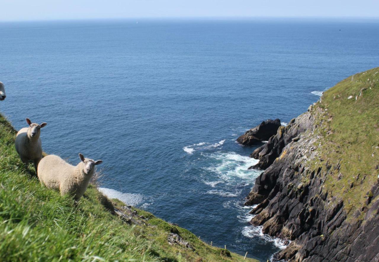 Dingle Bay View By Trident Holiday Homes Kültér fotó